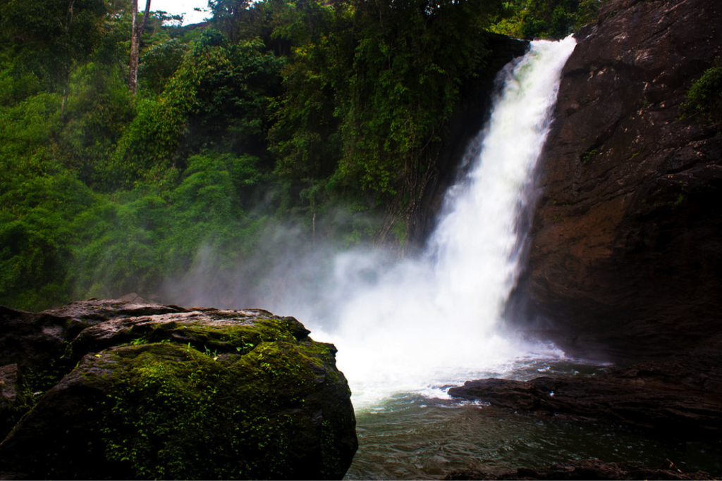 a688f3f5d3cbb62e7f64505b8bc7497a